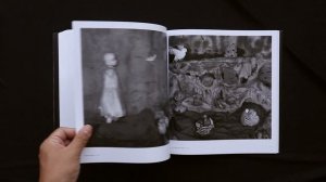 Asylum of The Birds by Roger Ballen