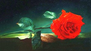 Очарование и красота розы в живописи художника Алексея Антонова.