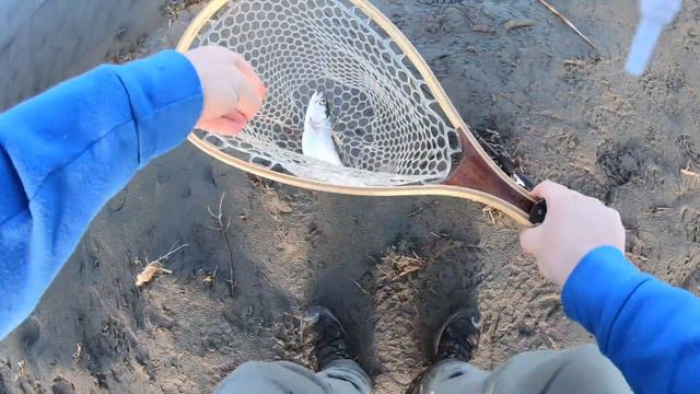 RAINBOW TROUT Fishing CLEAR REMOTE Creek!!! (Catch & Cook) смотреть онлайн