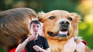 Какие запахи не любят собаки