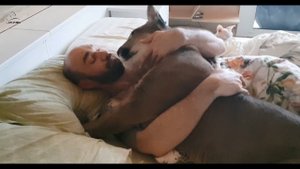 Кто рано встаёт- того кот не облизнёт! ))