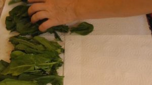 Заготовка ЩАВЕЛЯ на зиму. Самый простой и удобный способ