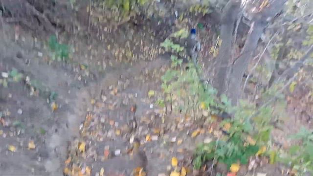 Рыбацкий спуск к Оби #обь #река #прогулка #вода #рыбалканаалтае #алтай #алтайскийкрай