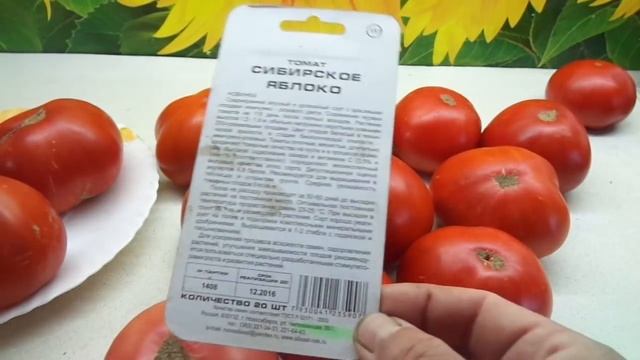 ТОМАТ СИБИРСКОЕ ЯБЛОКО. ОБЗОР ПЛОДОВ. Ольга Чернова. смотреть онлайн