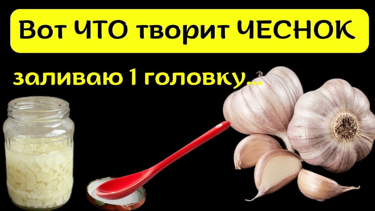 Уже 2 недели заливаю ЧЕСНОК .....и добавляю 1 ложку Мёда . Чеснок польза и вред смотреть онлайн