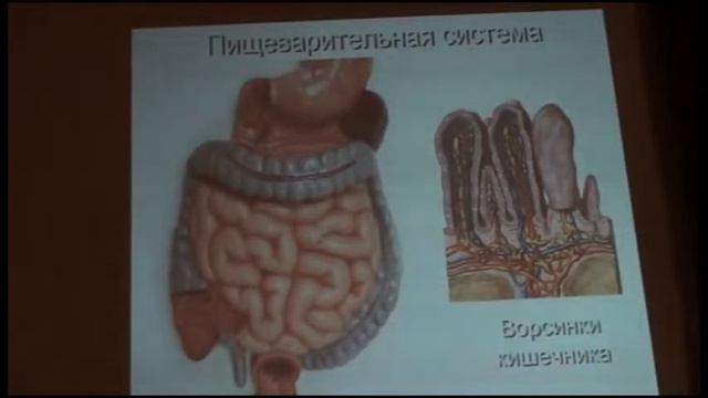 Системное очищение организма - Ольга Бутакова