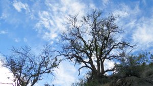 Красивое небо и море на пляже в Курортном (Биостанция).