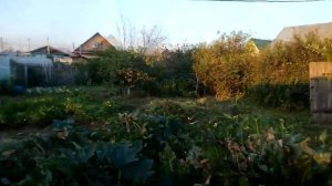 ПРОСТАЯ ЖИЗНЬ__ПРОПОЛКА В ОГОРОДЕ__ СТРОИМ ДОМ