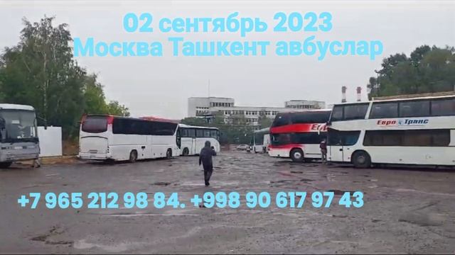 Санкт Петербург Самарканд автобус. Россия Ташкент автобус. Москва Узбекистан автобус. Москва-Ташкен
