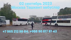 Санкт Петербург Самарканд автобус. Россия Ташкент автобус. Москва Узбекистан автобус. Москва-Ташкен