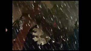 Двенадцать месяцев 1956 год.