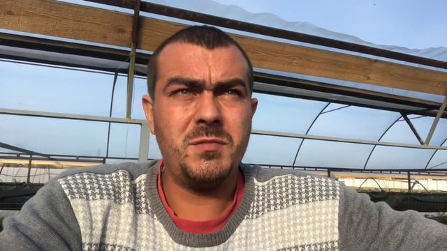 Сколько стоит поставить теплицу и малообъемку под клубнику? смотреть онлайн