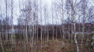 DJI Air 2S аэрофотосъемка. Без фильтра. Осень.