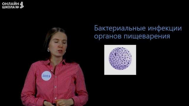 Регуляция пищеварения. Видеоурок 23. Биология 8 класс смотреть онлайн