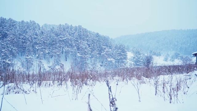 КУПИЛ 2 ДОМА В ДЕРЕВНЕ | ЗАКОПТИЛИ САЛО В РУССКОЙ ПЕЧИ НА ШЕСТКЕ | ПАЛЬЧИКИ ОБЛИЖЕШЬ смотреть онлайн