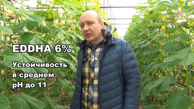 ЖЕЛЕЗО НА ОГУРЦАХ - ХЕЛАТЫ ЖЕЛЕЗА EDTA, DTPA, EDDHA (28-01-2019) смотреть онлайн