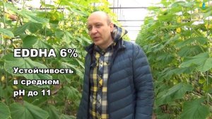 ЖЕЛЕЗО НА ОГУРЦАХ - ХЕЛАТЫ ЖЕЛЕЗА EDTA, DTPA, EDDHA (28-01-2019)