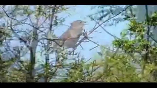 Хрустальную разбили вазу смотреть онлайн