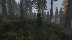 Построил Самую Скрытную Базу на Дереве в DayZ