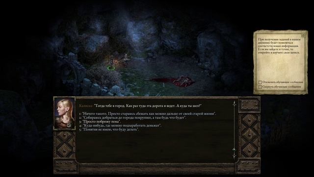 Прохождение Pillars of Eternity ч.1
