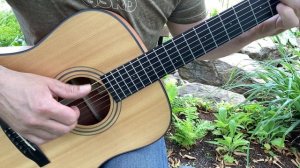 Ozzy Osbourne - I just want you     (Arr.Eiro Nareth)      Fingerstyle guitar solo cover