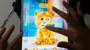 Tom Friends,Talking Ben,Talking Ginger,Talking News,Talking Tom,My Tom,Tom Hero,Talking Tom 2,My To