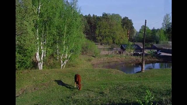 Moksha song "Ciftamas vele" смотреть онлайн