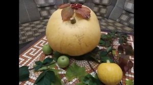 Интересное о тыкве - ?ЧТЕНИЕ СО ВКУСОМ - Часть 2. Детская библиотека