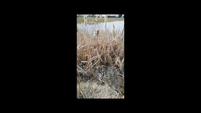 Рыбный день 1 серия #рыбалка