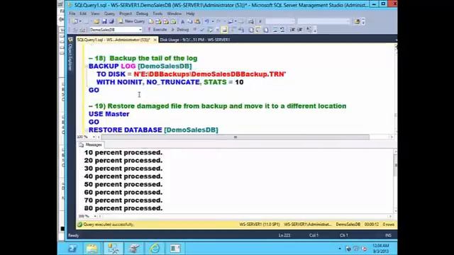SQL Server Database Recovery Techniques 110