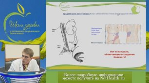 Методы диагностики мочекаменной болезни - Просянников М.Ю. 