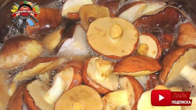 Сколько нужно отваривать грибы перед закруткой: непростительные ошибки хозяек!