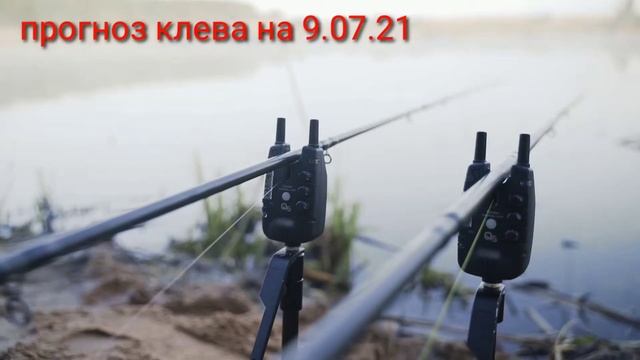 Прогноз клева на 9.07.21г смотреть онлайн