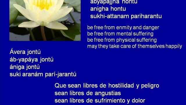 Metta Chant (Mantra de Compasión en Pali) смотреть онлайн