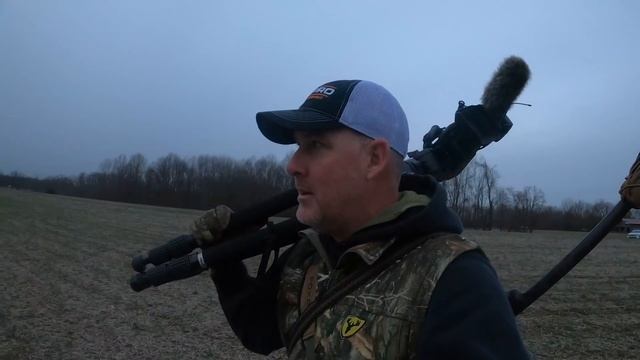 Color Phase and Black Coyotes смотреть онлайн