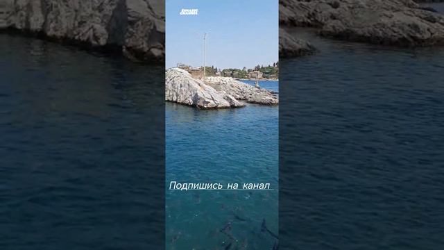 рыбы в эгейском море