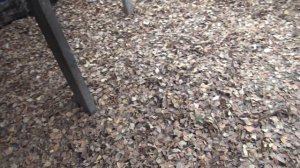 Подстилка для овец.