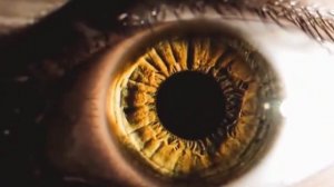 Victoria Kohana, Runstar - Desert  Rose [Lyric Video] #musicalexo #runstarmusic #victoriakohana