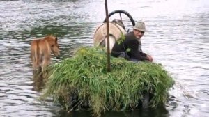 ИВОЛГА РЫДАЕТ. Душевная песня.