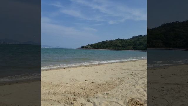 Обрезка пальм на Сильвер Бич смотреть онлайн