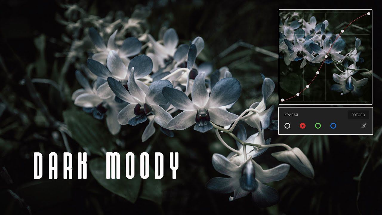 Мобильная фотография / Обработка фото в стиле Dark Moody / Lightroom mobile