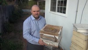 04 03 2019  натуральное пчеловодство   армянский улей