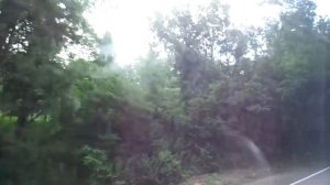 Автобус №164 (Туапсе). Автовокзал - Шепси.