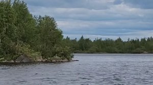 Рыбалка на Кольском Полуострове. Озеро Лумболка.  Мончегорск. Ловля сига на поплавочную удочку.