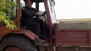 Как быстро удалить дерево очистить участок / поле / трактор попрошайка / село