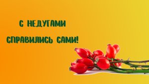 С недугами справились сами!.mp4