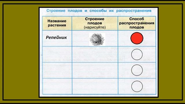 Окружающий мир 3 класс рабочая тетрадь. Размножение и развитие растений