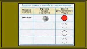 Окружающий мир 3 класс рабочая тетрадь. Размножение и развитие растений