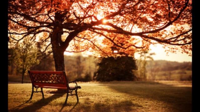 Дима Билан || Листья праздничных клёнов смотреть онлайн