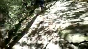 O calatorie prin munti... Cascada Saharna..